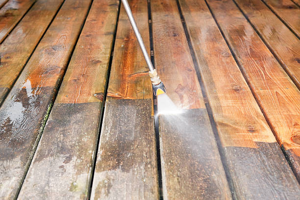 Best Dumpster Area Cleaning  in Pocahontas, IA